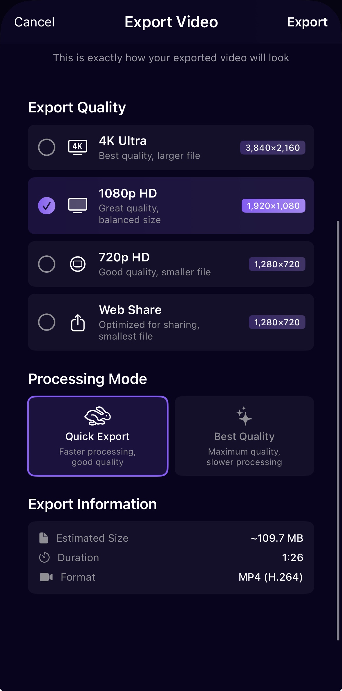 Export Options - Video export settings